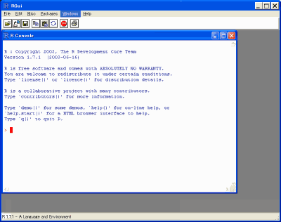 R の起動画面